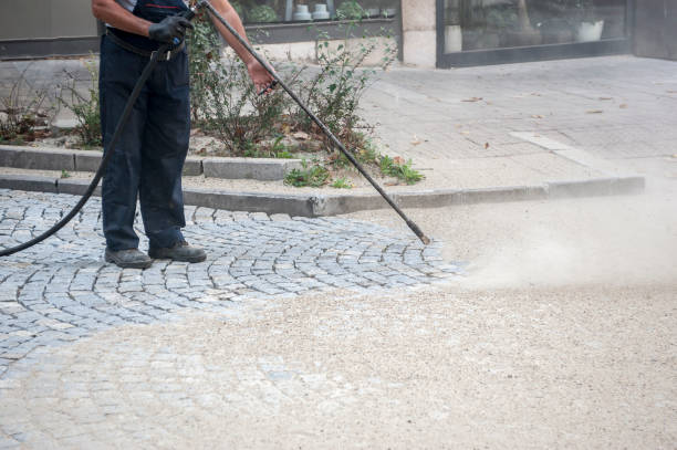 Animal Enclosure Cleaning in Ellicott City, MD
